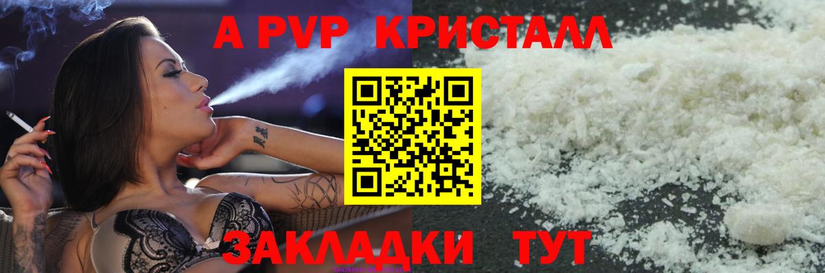 A PVP СК Ставрополь
