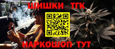 дживик Камышлов