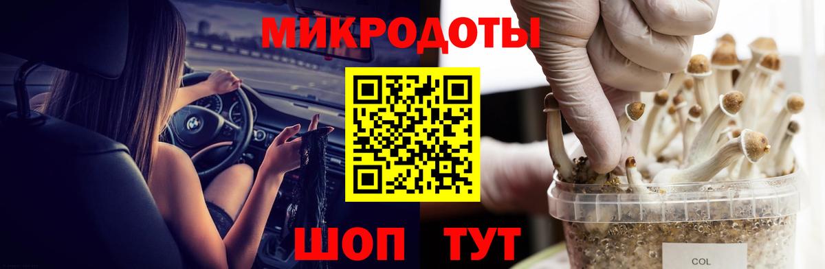 Галлюциногенные грибы ЛСД  Вход с VPN  Ставрополь 