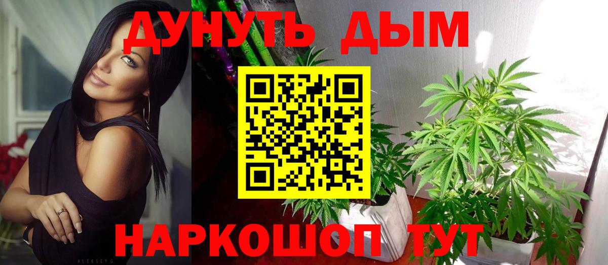 Канабис план Ставрополь